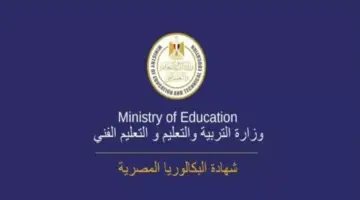 موعد انتهاء إعداد مناهج البكالوريا المصرية.. التعليم توضح